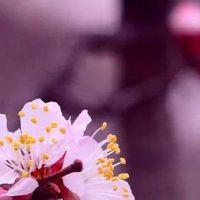 2012年属龙人幸运颜色 黑色是他们的禁忌色