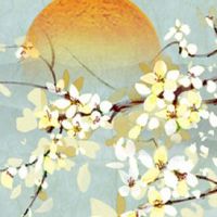 今日五行穿衣色查询:2022年5月24日幸运色指南