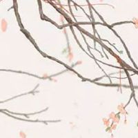 高端的商场名字大全 高尚招财的公司起名