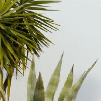 2022年2月下旬，星座很好！