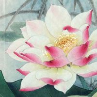 今日穿衣指南:2022年5月25日五行穿衣幸运色