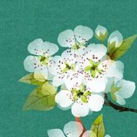 土命人手机号吉祥号码 招财数字号码测算凶吉