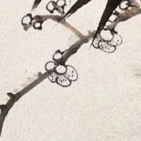 涧下水命手机号怎么选择 五行旺运的号码选择