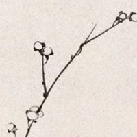 天河水命幸运数字 吉祥手机号码查询