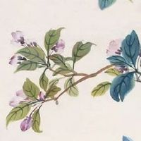 惊蛰前上新坟原因 节气风俗气候特点