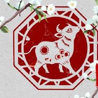 牛的人在老虎年度。