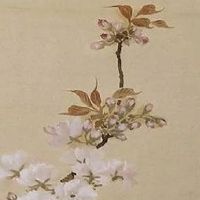 惊蛰为什么要吃梨? 揭秘惊蛰吃梨由来!