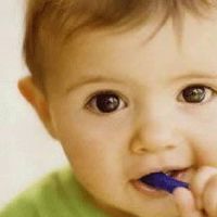 2022虎宝宝好听的名字 虎年最有气质的孩子名字