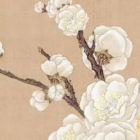 天秤座车牌号幸运数字 出行大吉的顺利牌号