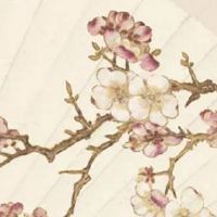 个性店名创意设计大全 独具特色的店铺起名