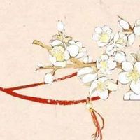 有创意的百货店铺简介 聚财旺运的店铺起名