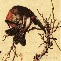 农历十二月出世的小宝宝运势怎么样？