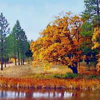 霹雳如何改善火灾