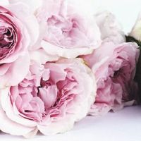 订婚择吉:2022年5月31日是提亲订婚好日子吗