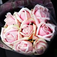 2022年5月30日是订婚黄道吉日吗 今日黄历查询