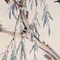 摩羯座车牌号码数字字母 盘点吉祥车牌号选择秘籍