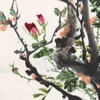 双鱼座车牌号吉利数字 盘点出行旺运平安的号码