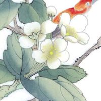 84年的鼠37岁后命好 热爱生活财运旺