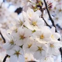 2022年属鼠人运程 “驿马”表变动发展愈好