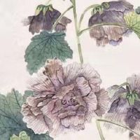 2010年生的属虎五行缺什么 纵风之虎五行缺金