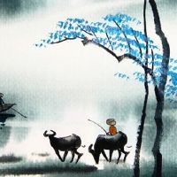 本命年戴什么转运属虎 转运珠帮助生肖虎转运