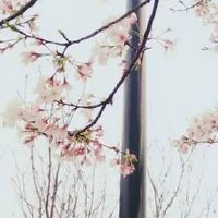 2012年出生属龙人2022年上半年运势如何