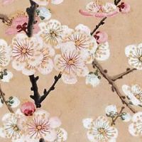 金牛座手机号码尾数 大吉大利的四位招财手机号