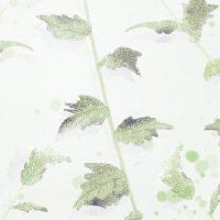 夏季至尊是古代，法律假期的飞行名称如何？