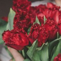 2022年农历五月二十七日子吉利吗 是结婚嫁娶吉日么