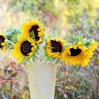 2022年农历五月二十六结婚可以吗 今日是不是嫁娶日子