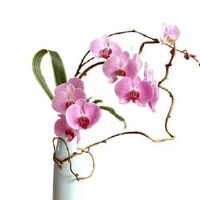 2022年6月1日搬家吉利吗 是不是搬新房日子