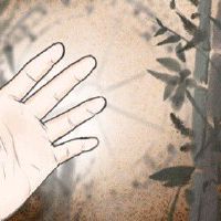 女人六个斗的命运 运气佳桃花运不错