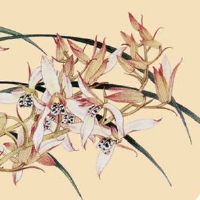 2022年农历四月二十八是搬家吉日吗 这天是好日子吗