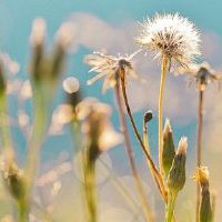 最好的颜色是什么颜色的汽车？