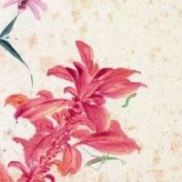 白羊座车牌号选择 幸运稀有值钱的车牌号码