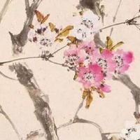 天蝎座车牌号带4.9幸运数字 长久富贵的值钱号码