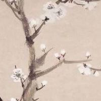 射手座车牌号码选什么数字吉利 六六大顺的车牌靓号