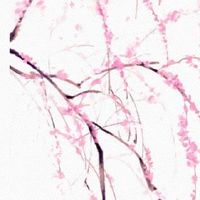 92年猴女的婚姻一生 心直口快与蛇六合