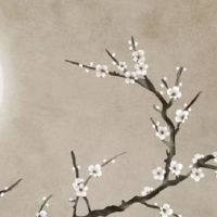 搬家点几根香怎么流程 搬家点香左进右出点几根香