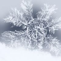 2022年，齐齐艺术节适合结婚。这一天结婚吗？