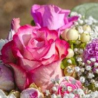 去女朋友家带六样礼品 见长辈送礼应投其所好