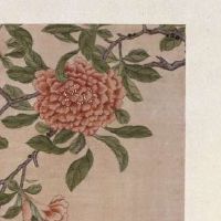 农历八月二十出世的男孩儿运势如何？