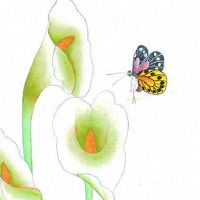 2022年属蛇人7月可以搬家的日子 上等乔迁黄道吉日