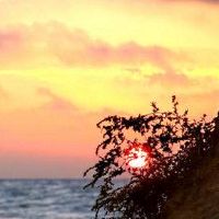 八个角色天德是什么意思？