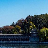肘部型面分析命运