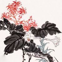 本命年虎多少岁 虎年运势怎样