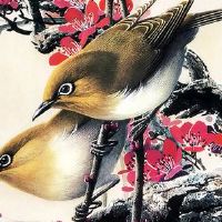 本命年结束时间怎么算 本命年结束朋友圈文案