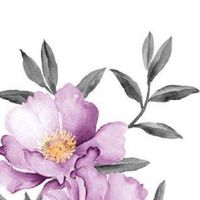 子卯相刑婚姻破裂 子卯相刑有哪些危害