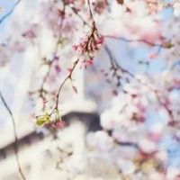 从春分到秋分北半球昼夜长短变化规律