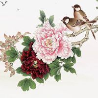 13和31哪个财富大 13在手机号风水里代表什么